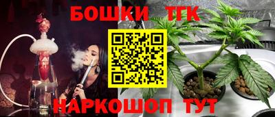 тгк Кандалакша