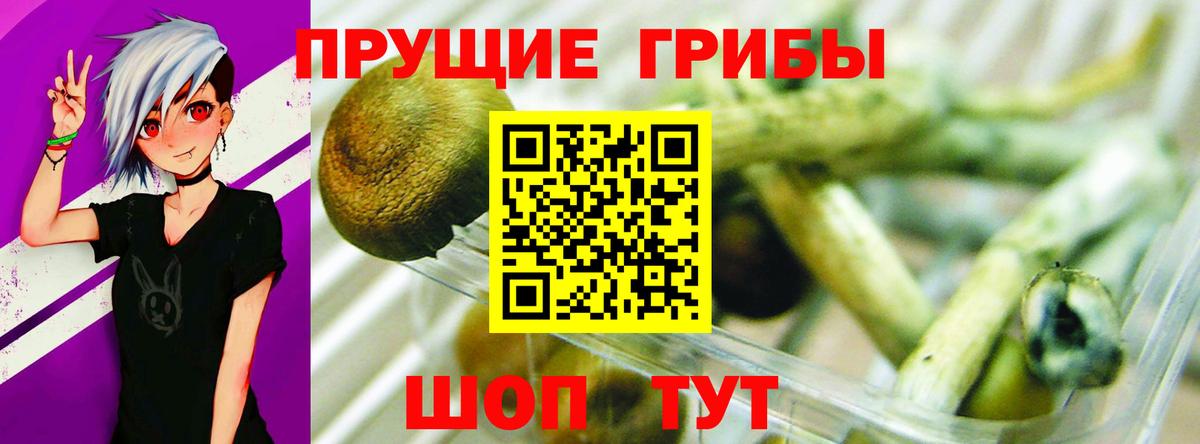 Губаха  Галлюциногенные грибы MAGIC MUSHROOMS  Вход с VPN  Псилоцибиновые грибы прущие грибы 