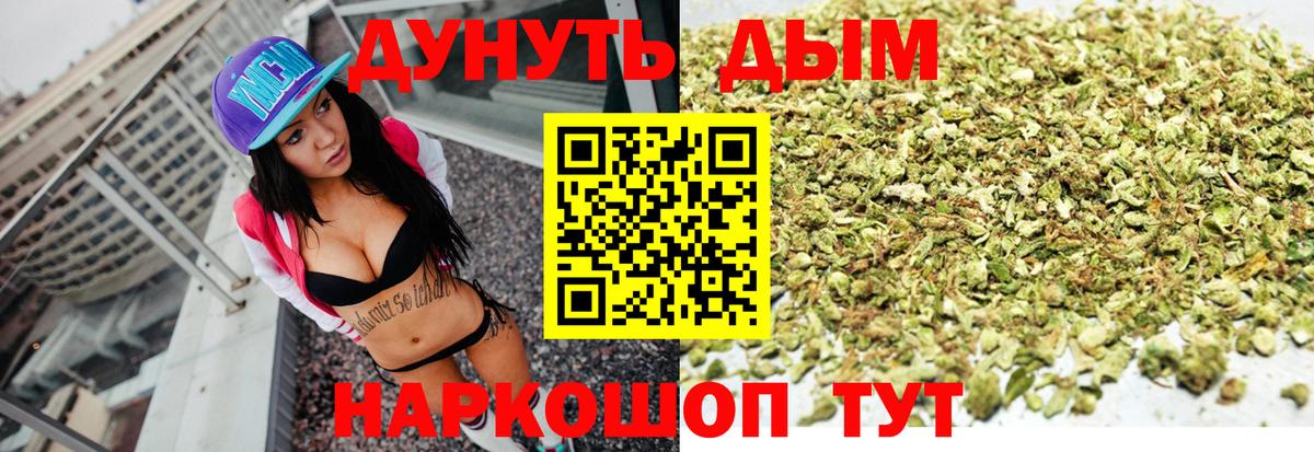 Губаха  Конопля индика  Канабис планчик  Конопля конопля  Шишки марихуана сатива  Вход с VPN 
